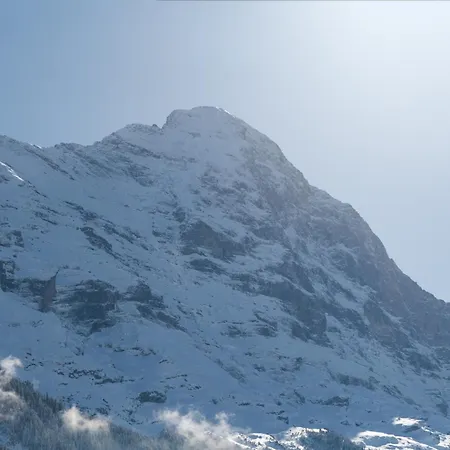 The Terrace - Grindelhomes * Grindelwald