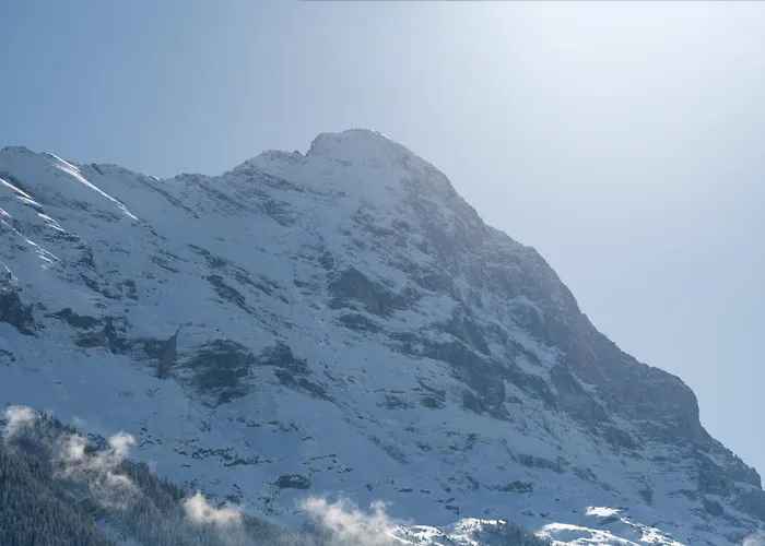 The Terrace - Grindelhomes * 格林德瓦